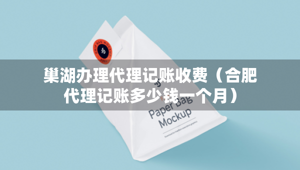 巢湖辦理代理記賬收費(fèi)（合肥代理記賬多少錢一個(gè)月）