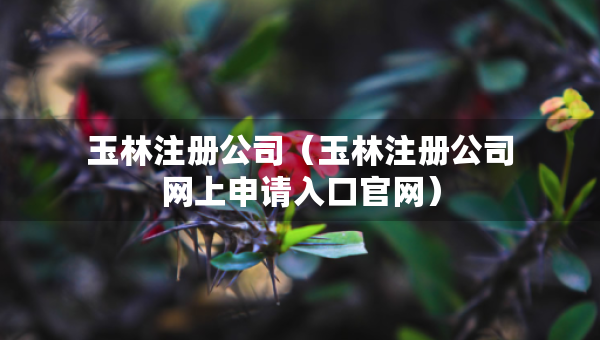 玉林注冊公司（玉林注冊公司網(wǎng)上申請入口官網(wǎng)）