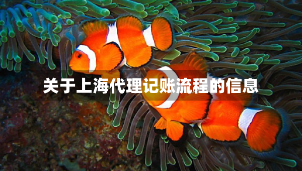 關(guān)于上海代理記賬流程的信息