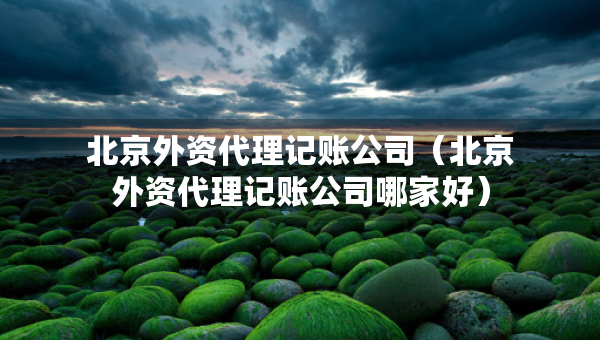 北京外資代理記賬公司（北京外資代理記賬公司哪家好）