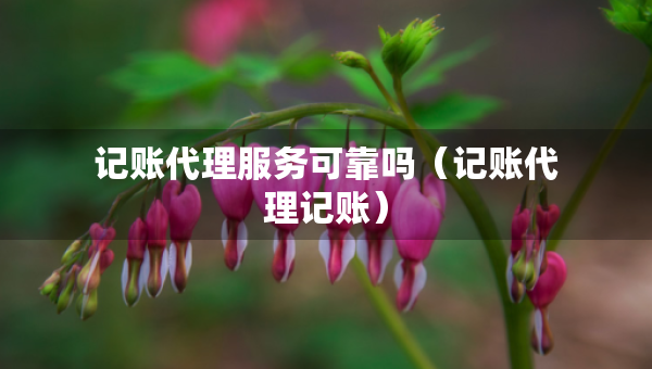 記賬代理服務可靠嗎（記賬代理記賬）