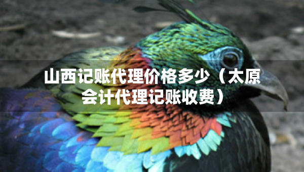 山西記賬代理價(jià)格多少（太原會(huì)計(jì)代理記賬收費(fèi)）