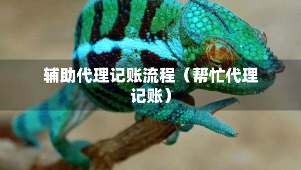 輔助代理記賬流程（幫忙代理記賬）