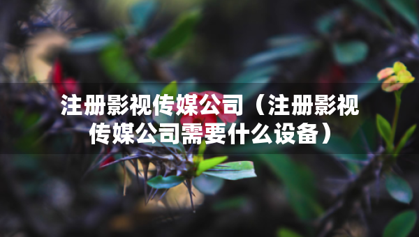注冊影視傳媒公司（注冊影視傳媒公司需要什么設(shè)備）