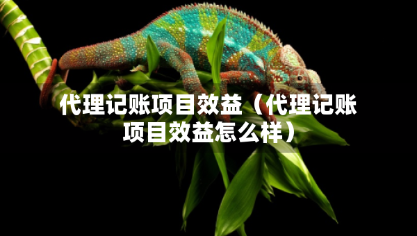 代理記賬項(xiàng)目效益（代理記賬項(xiàng)目效益怎么樣）