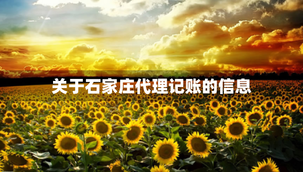 關(guān)于石家莊代理記賬的信息