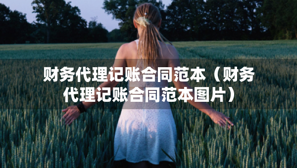 財務(wù)代理記賬合同范本（財務(wù)代理記賬合同范本圖片）