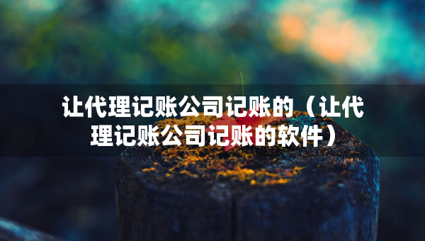 讓代理記賬公司記賬的（讓代理記賬公司記賬的軟件）
