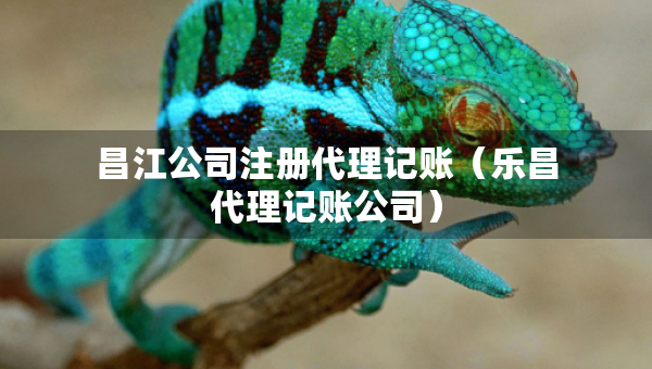 昌江公司注冊代理記賬（樂昌代理記賬公司）