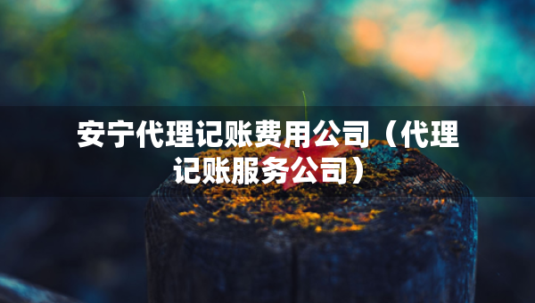 安寧代理記賬費(fèi)用公司（代理記賬服務(wù)公司）