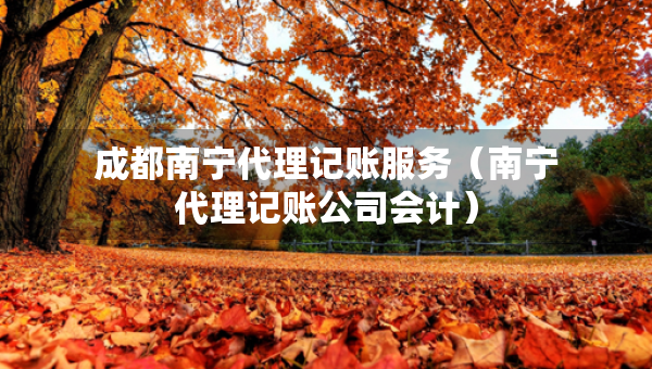 成都南寧代理記賬服務(wù)（南寧代理記賬公司會計(jì)）