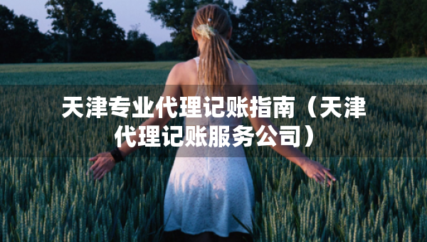 天津?qū)I(yè)代理記賬指南（天津代理記賬服務(wù)公司）