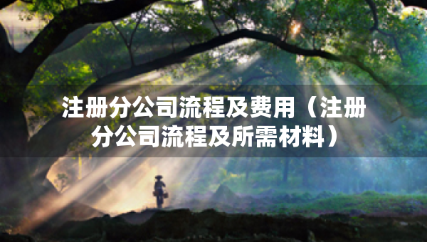 注冊(cè)分公司流程及費(fèi)用（注冊(cè)分公司流程及所需材料）