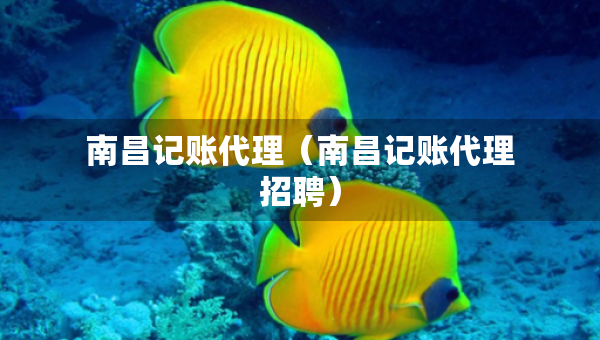 南昌記賬代理（南昌記賬代理招聘）