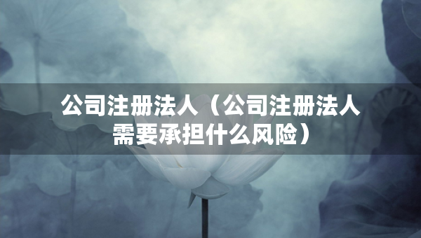 公司注冊法人（公司注冊法人需要承擔(dān)什么風(fēng)險(xiǎn)）