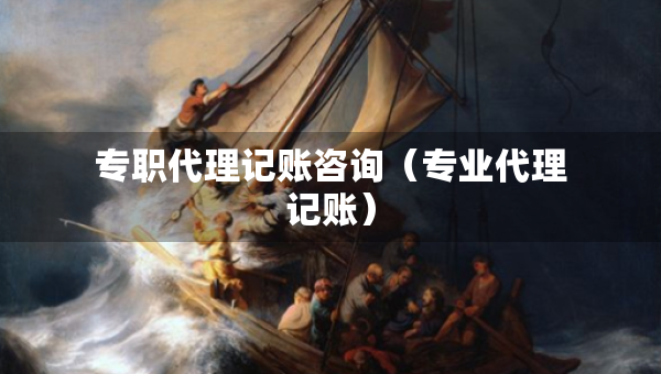 專職代理記賬咨詢（專業(yè)代理記賬）