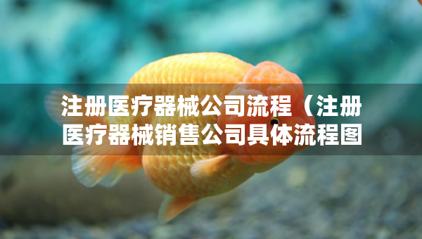 注冊醫(yī)療器械公司流程（注冊醫(yī)療器械銷售公司具體流程圖）