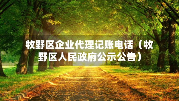 牧野區(qū)企業(yè)代理記賬電話（牧野區(qū)人民政府公示公告）