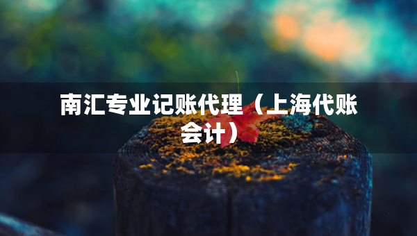 南匯專業(yè)記賬代理（上海代賬會(huì)計(jì)）