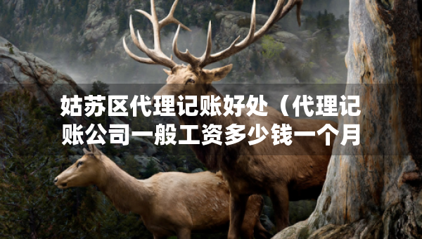 姑蘇區(qū)代理記賬好處（代理記賬公司一般工資多少錢一個月）