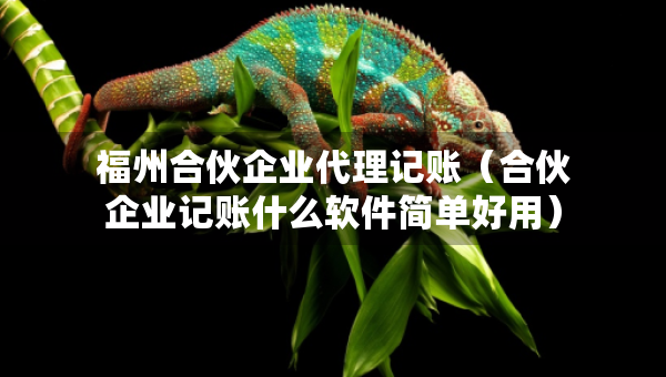福州合伙企業(yè)代理記賬（合伙企業(yè)記賬什么軟件簡單好用）