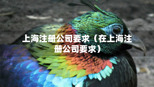 上海注冊公司要求（在上海注冊公司要求）