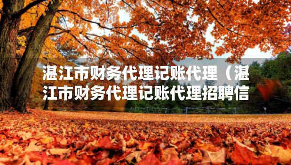 湛江市財(cái)務(wù)代理記賬代理（湛江市財(cái)務(wù)代理記賬代理招聘信息）