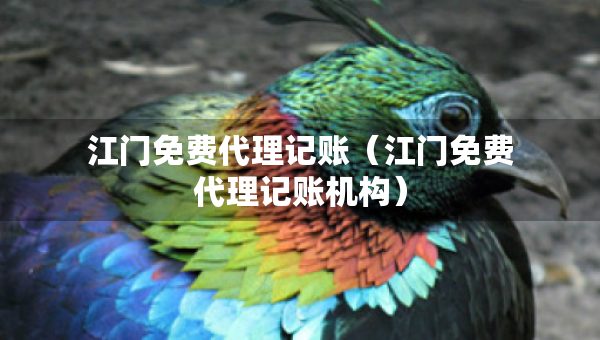 江門免費代理記賬（江門免費代理記賬機構）