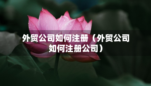 外貿(mào)公司如何注冊（外貿(mào)公司如何注冊公司）