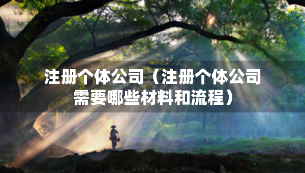注冊個(gè)體公司（注冊個(gè)體公司需要哪些材料和流程）