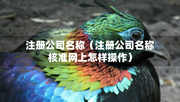 注冊公司名稱（注冊公司名稱核準(zhǔn)網(wǎng)上怎樣操作）