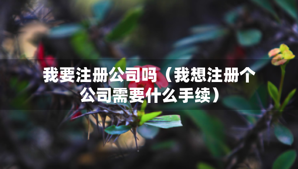 我要注冊(cè)公司嗎（我想注冊(cè)個(gè)公司需要什么手續(xù)）