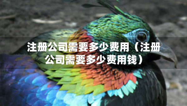 注冊公司需要多少費(fèi)用（注冊公司需要多少費(fèi)用錢）
