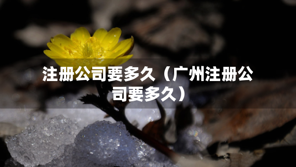 注冊公司要多久（廣州注冊公司要多久）