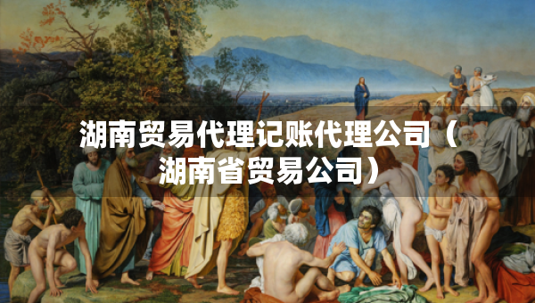 湖南貿(mào)易代理記賬代理公司（湖南省貿(mào)易公司）