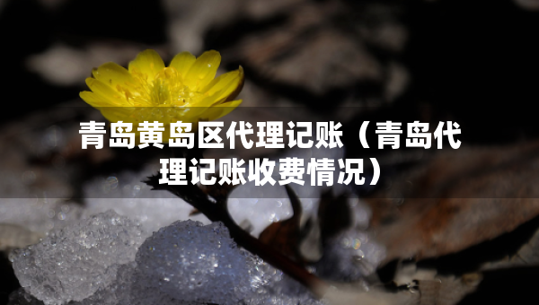 青島黃島區(qū)代理記賬（青島代理記賬收費情況）
