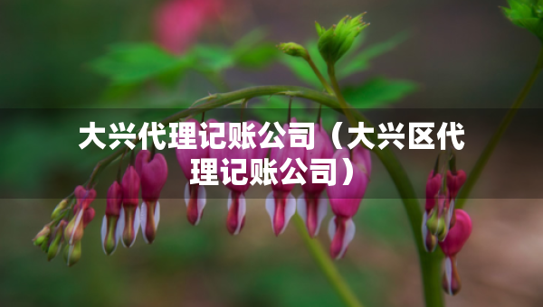 大興代理記賬公司（大興區(qū)代理記賬公司）