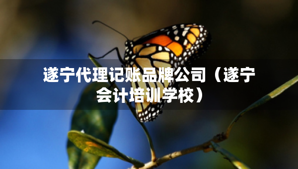 遂寧代理記賬品牌公司（遂寧會計(jì)培訓(xùn)學(xué)校）