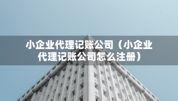小企業(yè)代理記賬公司（小企業(yè)代理記賬公司怎么注冊(cè)）