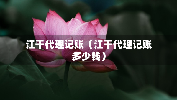 江干代理記賬（江干代理記賬多少錢(qián)）