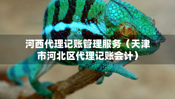 河西代理記賬管理服務(wù)（天津市河北區(qū)代理記賬會(huì)計(jì)）
