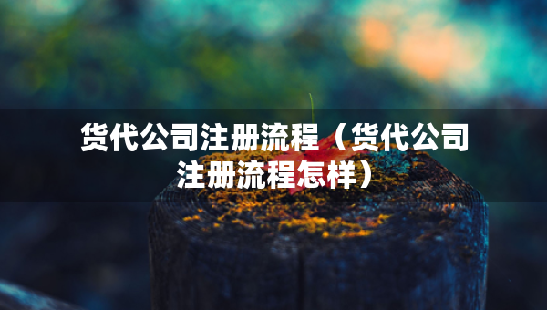 貨代公司注冊流程（貨代公司注冊流程怎樣）