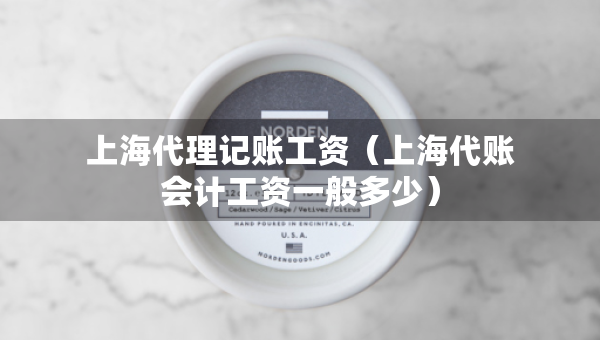上海代理記賬工資（上海代賬會計工資一般多少）