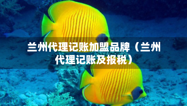 蘭州代理記賬加盟品牌（蘭州代理記賬及報稅）