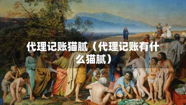 代理記賬貓膩（代理記賬有什么貓膩）