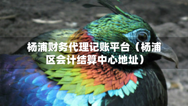 楊浦財務(wù)代理記賬平臺（楊浦區(qū)會計結(jié)算中心地址）