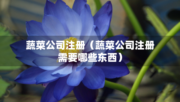 蔬菜公司注冊（蔬菜公司注冊需要哪些東西）
