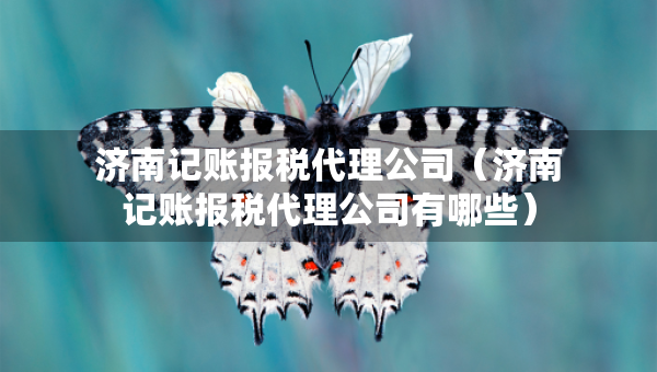 濟南記賬報稅代理公司（濟南記賬報稅代理公司有哪些）
