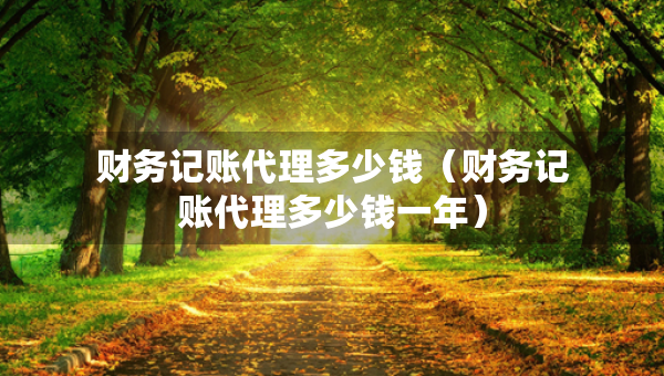財務記賬代理多少錢（財務記賬代理多少錢一年）