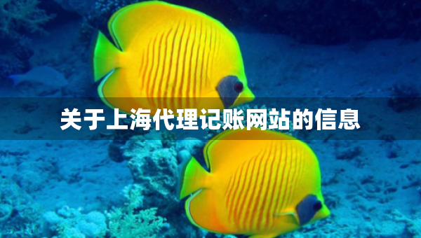 關(guān)于上海代理記賬網(wǎng)站的信息